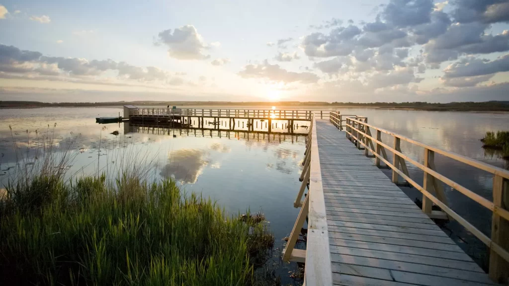 Der Federseesteg in Bad Buchau - ein wunderbarer Wanderweg